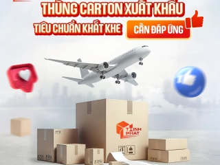 Các tiêu chuẩn xuất khẩu khắt khe mà bao bì giấy và thùng Carton phải đáp ứng