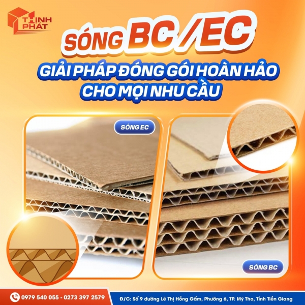 Giới Thiệu - Thịnh Phát